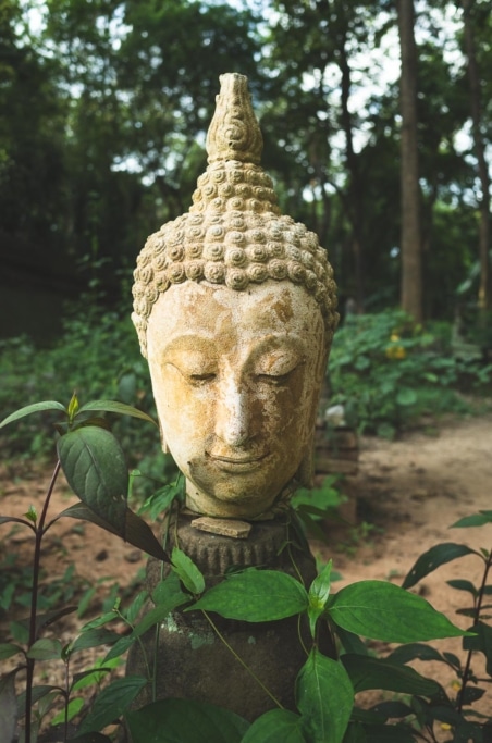 A white Buddha head sits in a garden at Wat Umong temple in Chiang Mai, Thailand